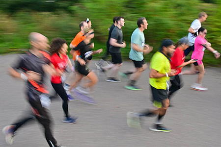 минспорт, бюджетная поддержка спортсменов, эффективность госвложений, соцопросы