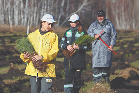 медиалогия, исследование, рейтинг, лидер, роснефть, социальные и экологические проекты