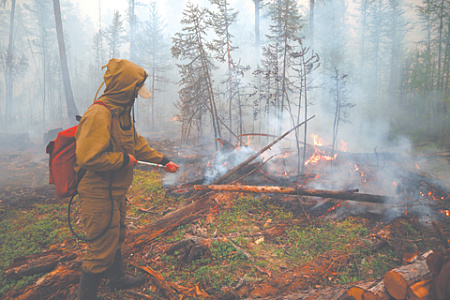 онлайн образование, бесплатный курс подготовки добровольцев, помощь в зонах бедствий