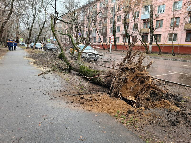 москва, ураган