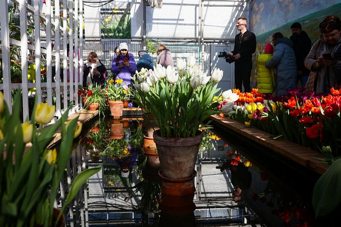 россия, москва, аптекарский огород, тюльпаны, выставка, репетиция весны