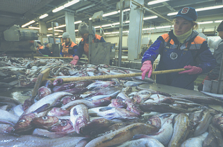рыба, морепродукты, импорт, рыбный союз, молочная отрасль, импортозамещение
