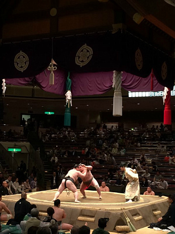 япония, фудзияма, суши, сумо, люди