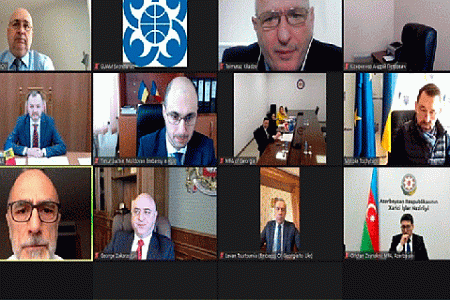 снг, интеграционные структуры, трансформация, гуам, новые модели