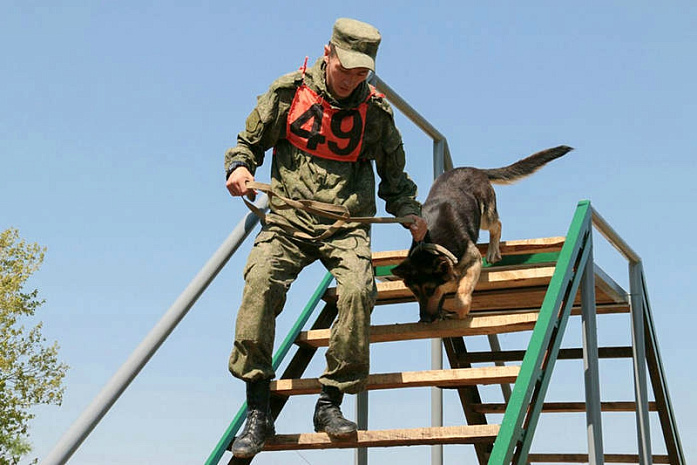 россия, армия, армейские игры