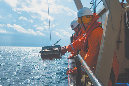 арктические экспедиции, белое море, экосистема, исследование, научные открытия, поддержка роснефти