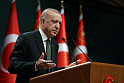 Эрдогана призывают создать тюркский военный блок