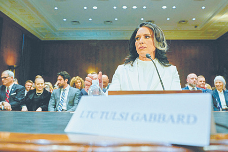 сша, нацразведка, тулси габбард, должностные обязанности, подозрения фбр, национализация выборов