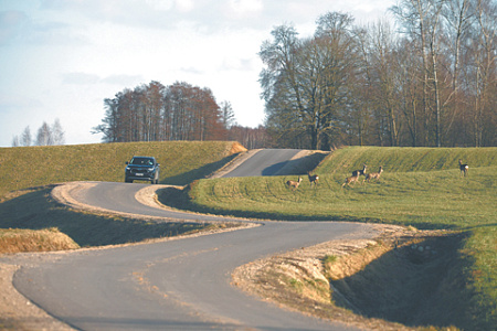 литва, военный полигон, граница с белоруссией, сувалкский коридор, иммигранты
