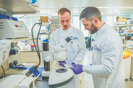 великобритания, научная политика, фундаментальная наука, фундаментальные исследования