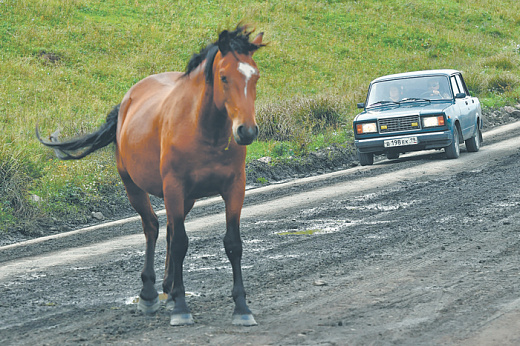 К 2030 году почти весь автопарк в России будет старше 10 лет