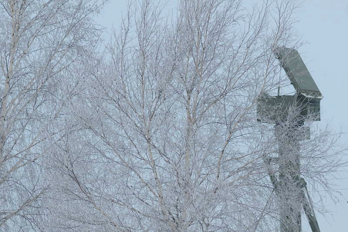 москва, пво, с-400, триумф