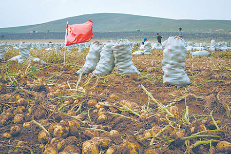 сельское хозяйство, трговля, экспорт, импорт, овощи, пшеница, зерно