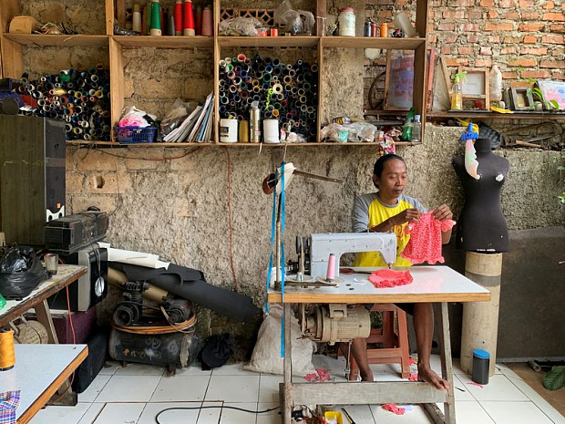 индонезия, кошки, мода