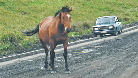 автопарк, старение, дтп, ценовая недоступность легковых машин