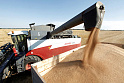 Россия наращивает <b>запасы</b> зерна