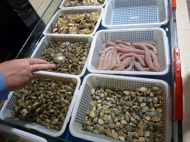 китай, шос, циндао