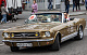 IMG_70863518.jpg