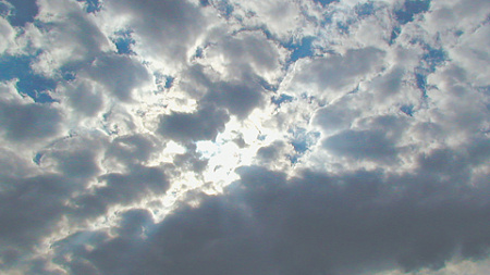 проза, философия, премия андрея белого