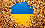Ракеты выведут украинское зерно на рынок