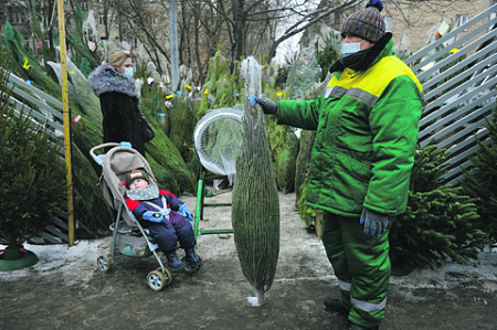 новогодние елки, переработка, утилизация, елочный круговорот, москва