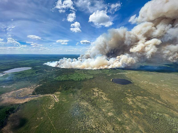 канада, альберта, лесной пожар