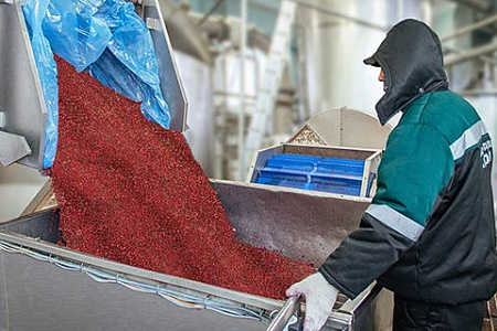 Русбиоальянс, минсельхоз, грибы, ягоды, еда, продукты, дары леса