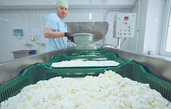 Обрабатывающая промышленность сохранила инвестиционный импульс