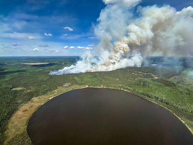канада, альберта, лесной пожар