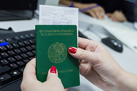 правозащита, гастарбайтеры, нелегалы, паспорт, иностранцы, правовой статус, коронавирусная амнистия