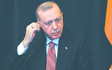 Турецкий лидер попытался примкнуть к "партии мира" 