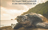 Пять книг недели
