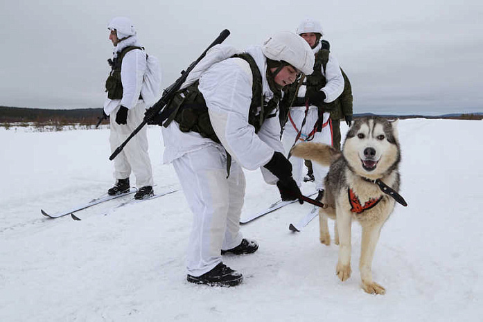 россия, армия, северный флот, хаски