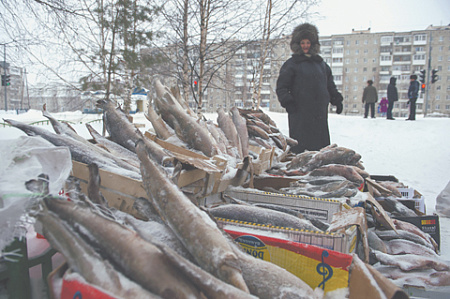 продукты, цены, затраты на продтовары, рыба, материальное положение, потребительские расходы, семейный бюджет, зарплаты, пенсии