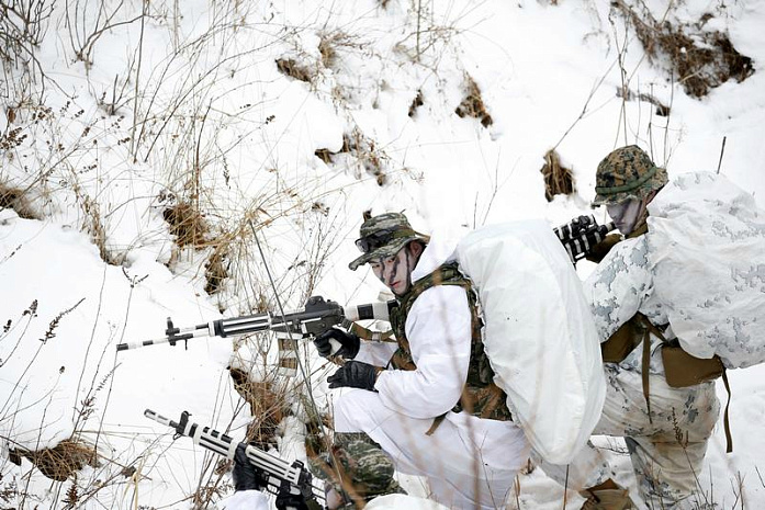 южная корея, сша, военные, учения, снег, зима