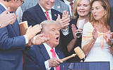 На Трампа ополчилась "Америка"