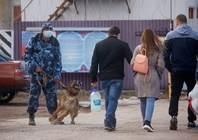 россия, покров, колония, альянс врачей, васильева, задержание