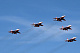 IMG_6156.JPG