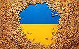 Еврокомиссия пошла навстречу Украине в зерновом транзите