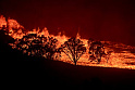 <b>Пожары</b> в Австралии оказались гораздо смертоноснее COVID-19