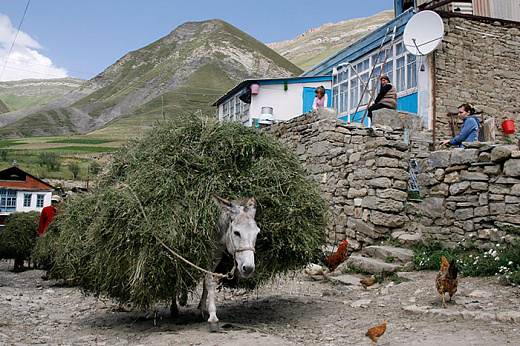 Счетная палата оценила эффективность финансирования Кавказа