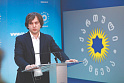 Бидзина <b>Иванишвили</b> не устраивает евродепутатов