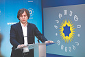 Бидзина Иванишвили не устраивает евродепутатов