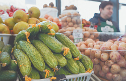 Российские потребители приступили к пополнению казны