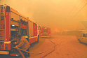 Фото недели.  <b>Пожары</b> полыхают в лесах России с опережением графика