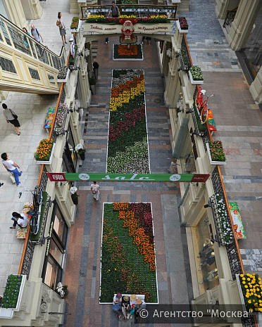 россия, москва, гум, цветы, фестиваль