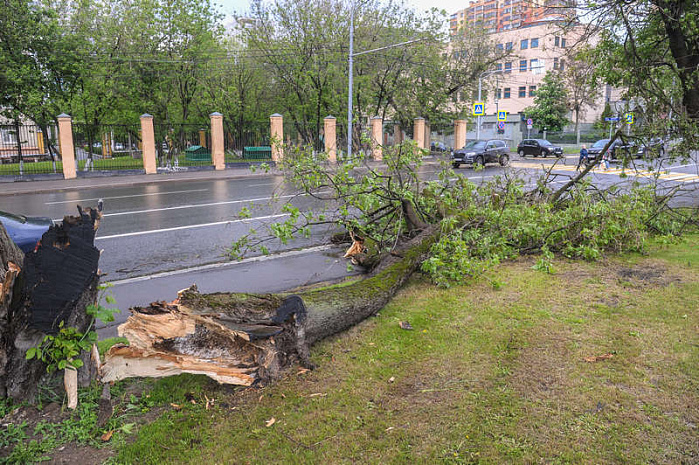 москва, стихия, ураган