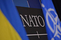 Руководство ЕС и НАТО проводит переговоры с Зеленским