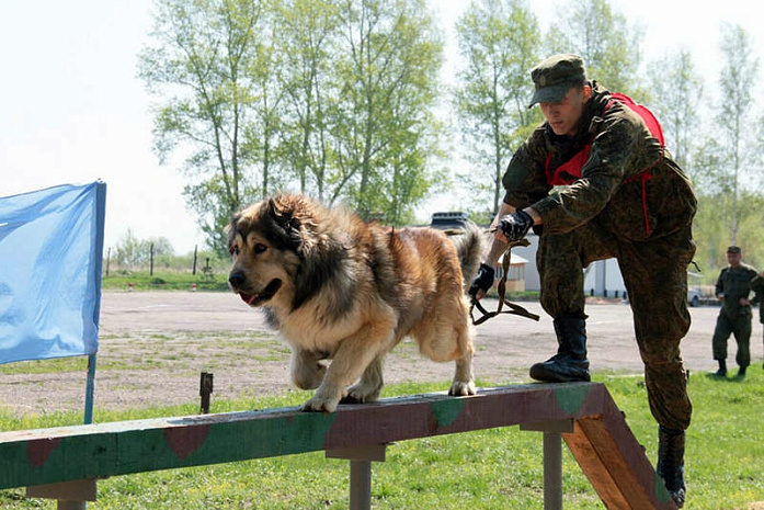 россия, армия, армейские игры