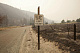 Запад США во власти лесных пожаров